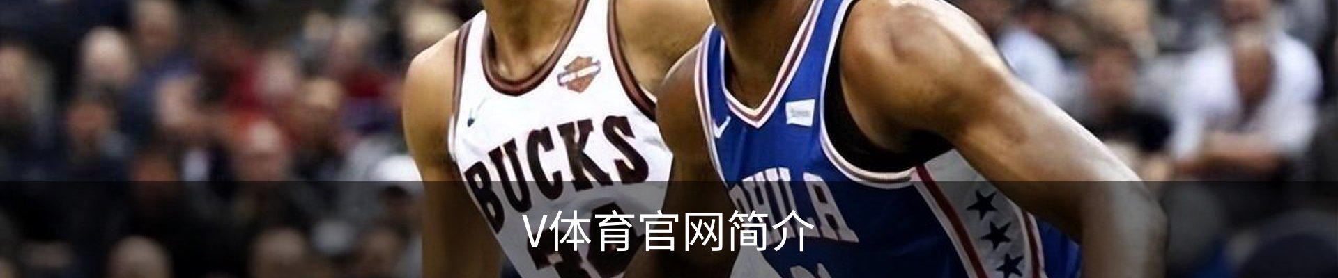 V体育官网简介